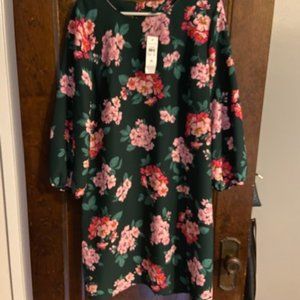 Ann Taylor Shift Dress